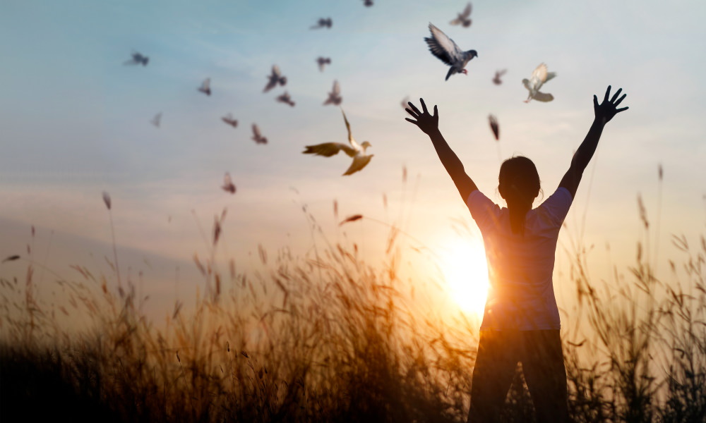 Woman praying and free bird enjoying nature on sunset background, hope concept